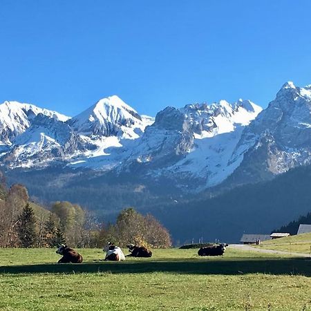 Bel Appartement Avec Vue Exceptionnelle Le Grand-Bornand Εξωτερικό φωτογραφία