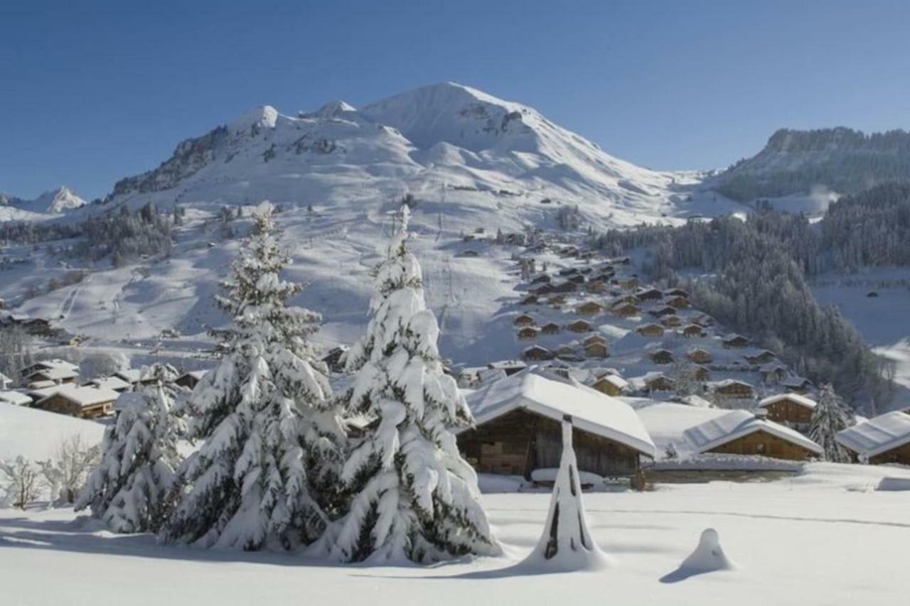 Bel Appartement Avec Vue Exceptionnelle Le Grand-Bornand Εξωτερικό φωτογραφία