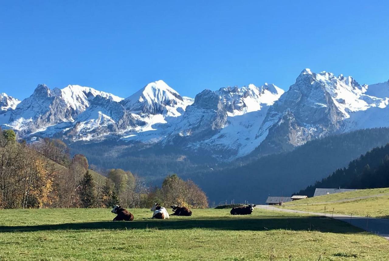 Bel Appartement Avec Vue Exceptionnelle Le Grand-Bornand Εξωτερικό φωτογραφία